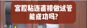 关铮教授解答：宫腔粘连直接做试管能成功吗？