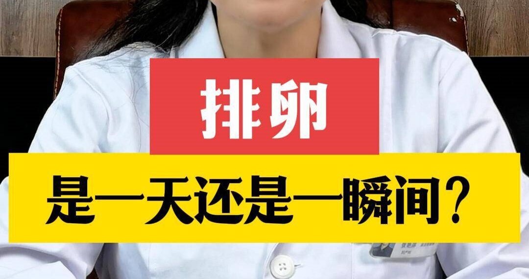 张艳萍主任解答：排卵是一天还是一瞬间？